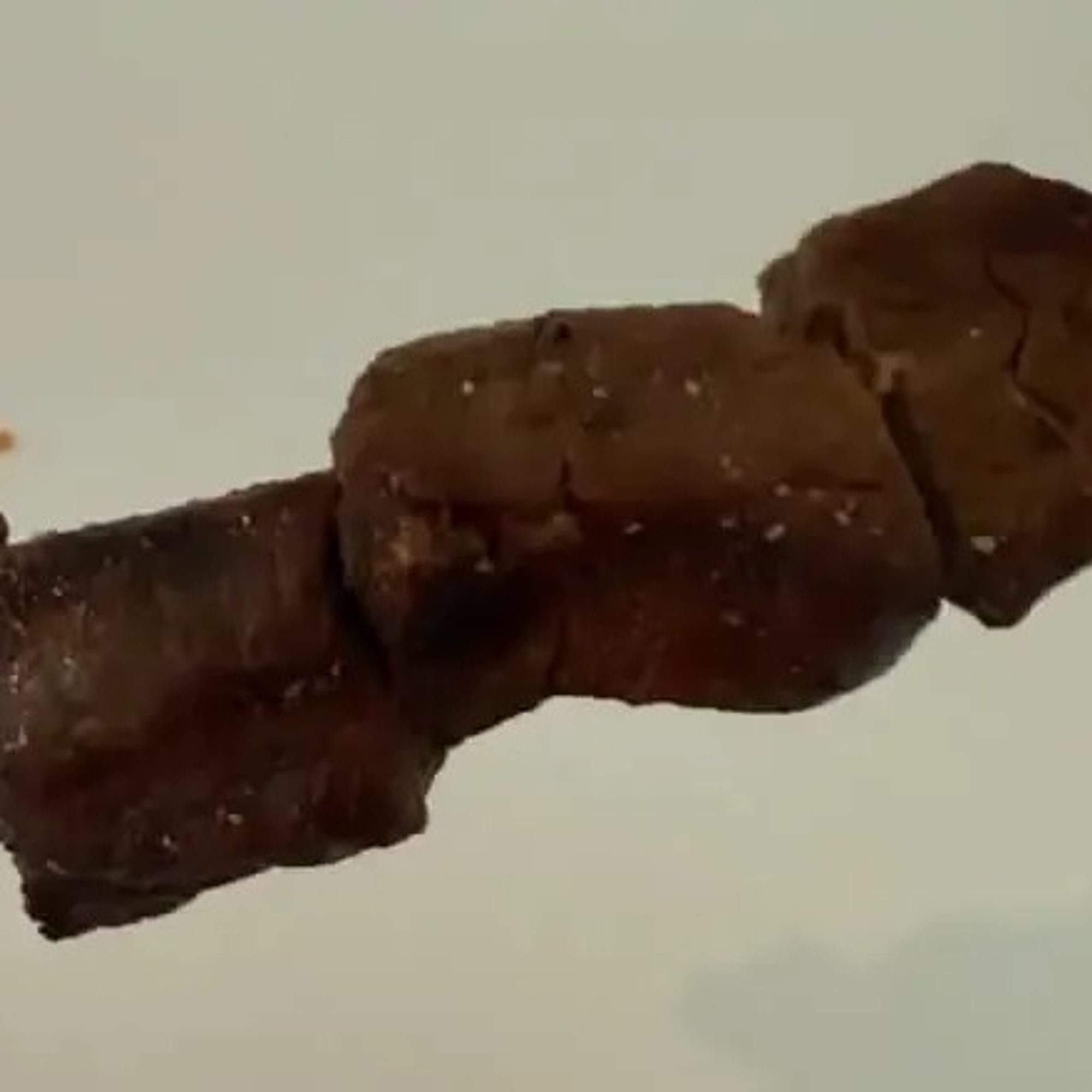 Filet Mignon Skewer