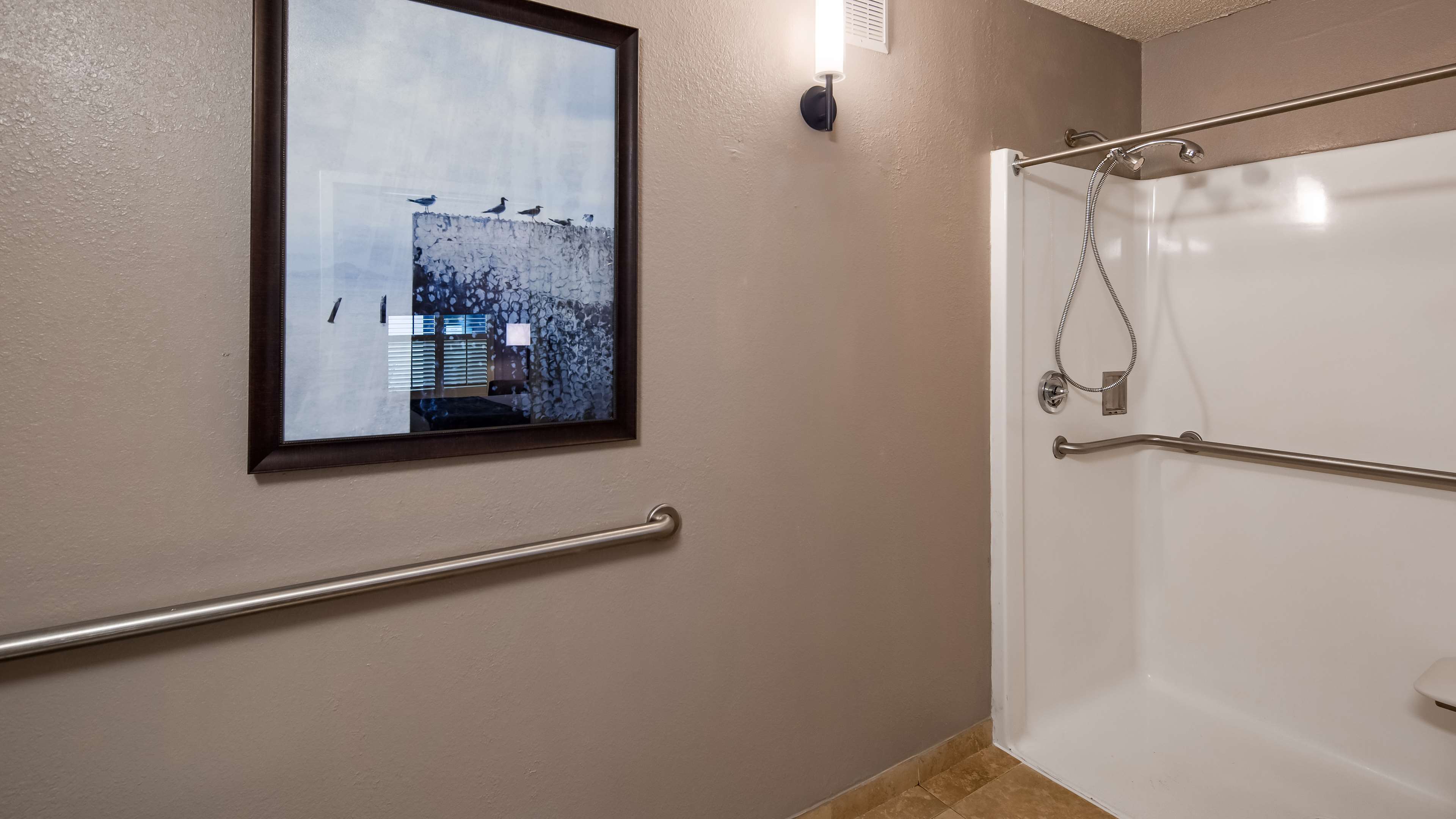 ADA Bathroom with Roll in Shower