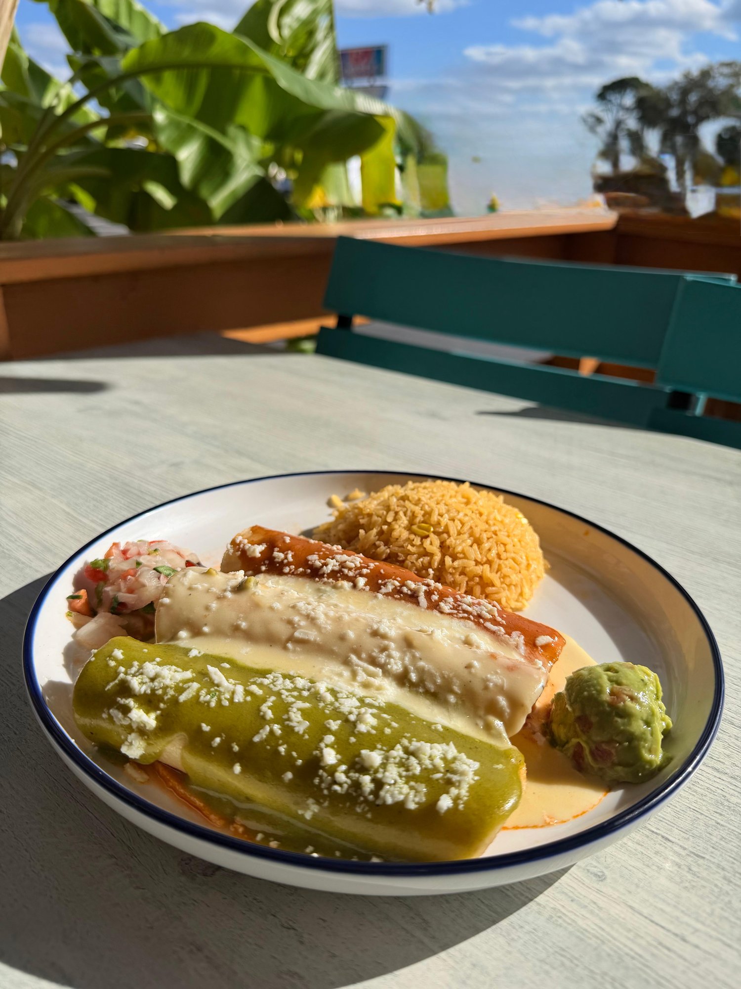 ENCHILADAS BANDERA