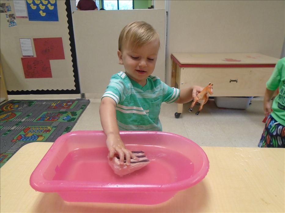 What floats and what sinks? Exploring in the twos classroom