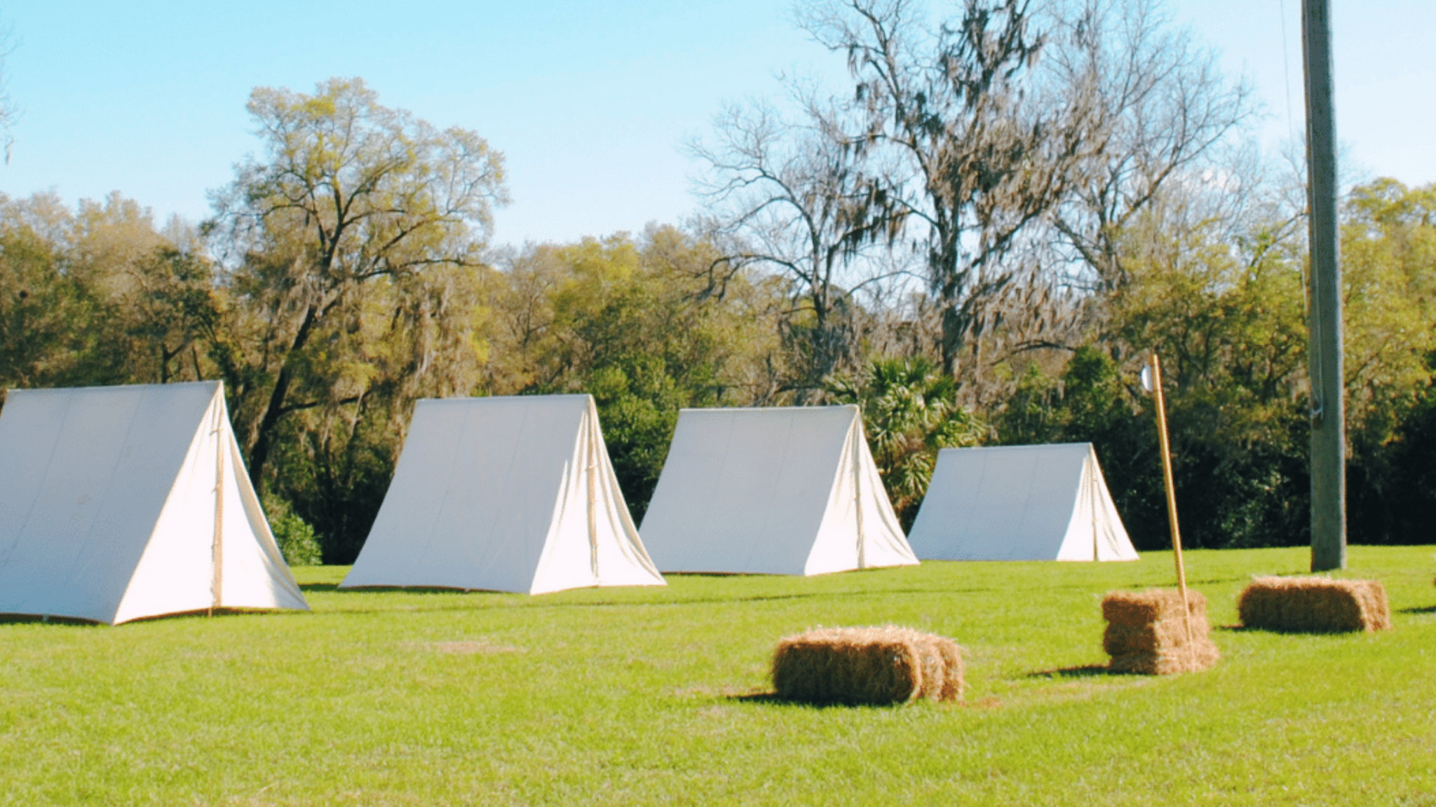 Holiday Inn Express & Suites Silver Springs-Ocala by IHG Image