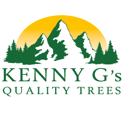 Kenny G&apos;s Quality Trees Logo