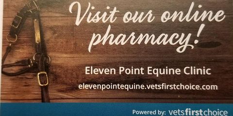 Eleven Point Equine Clinic Image