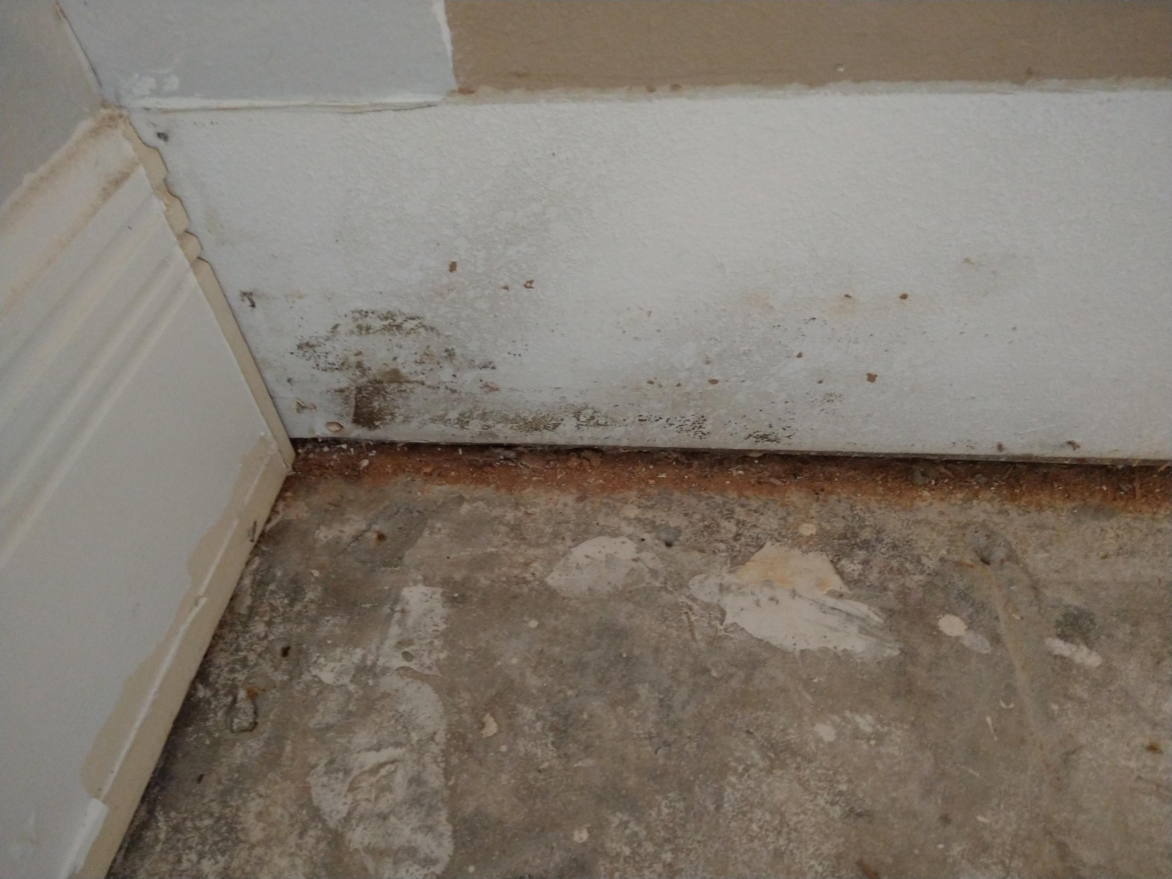 Power Pro Remediation Image