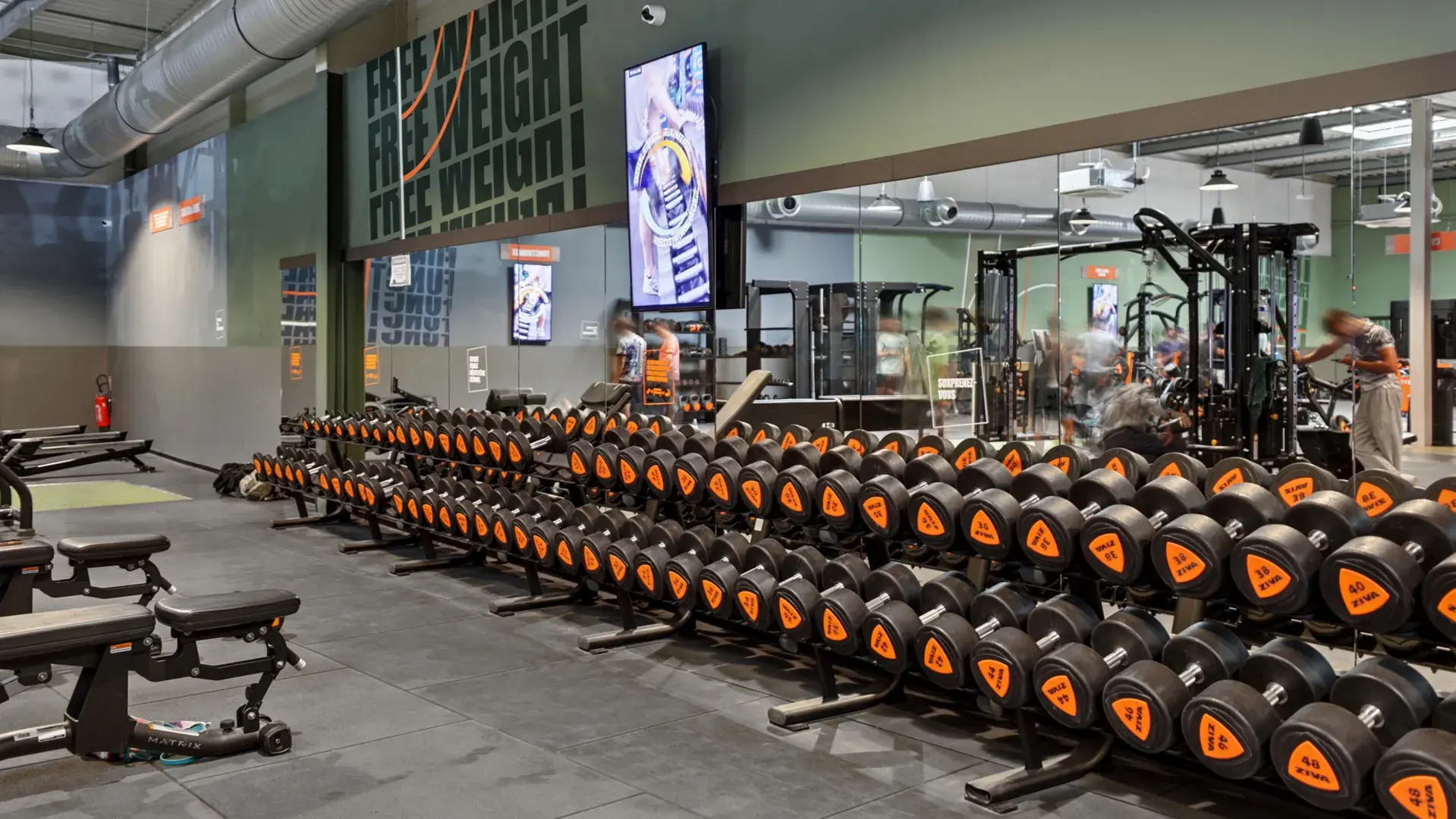 Miniature de la galerie