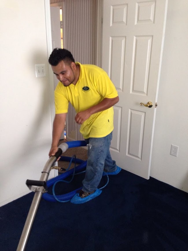Carpet Cleaning