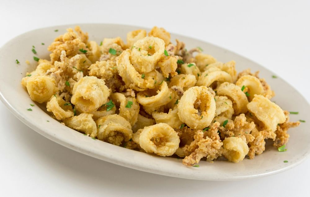 Fried Calamari