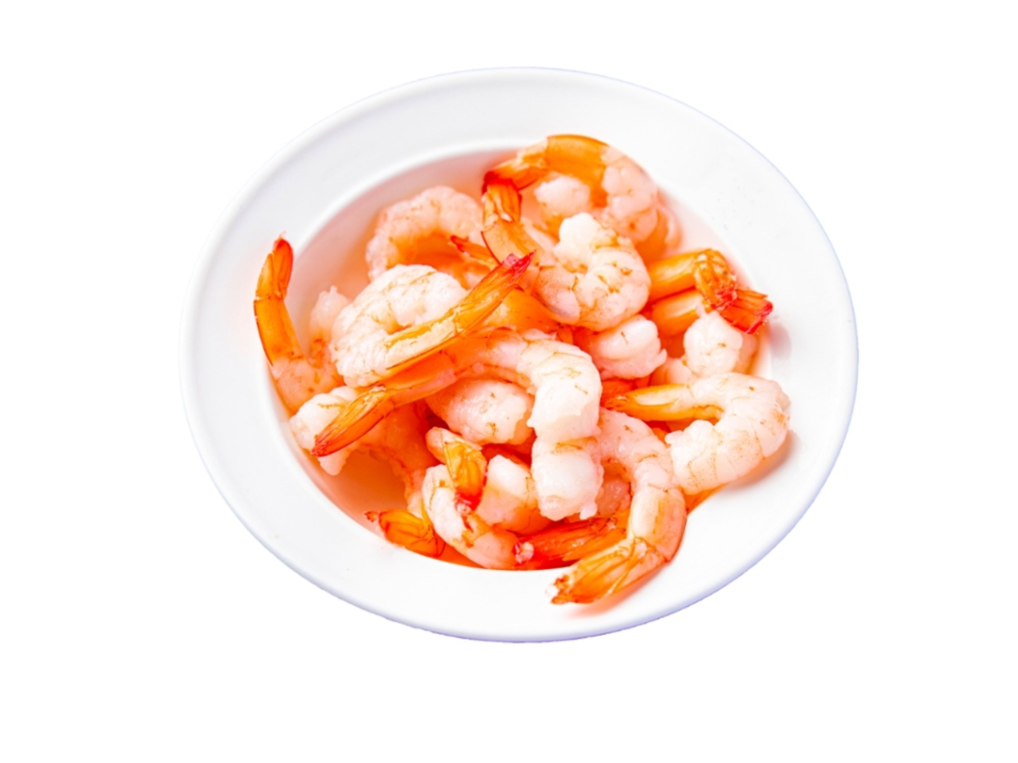 Shrimp