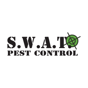 SWAT Pest Control Hamilton