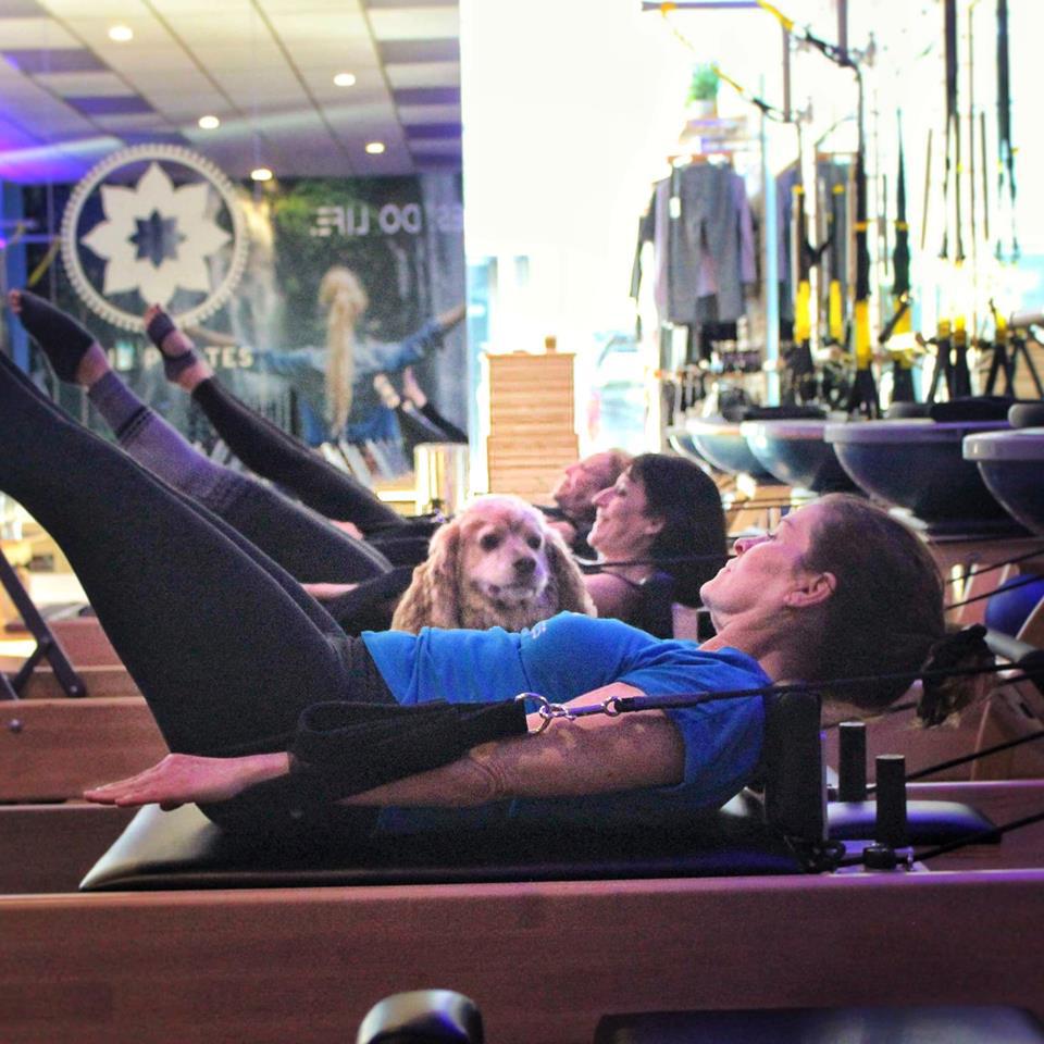 Club Pilates Photo