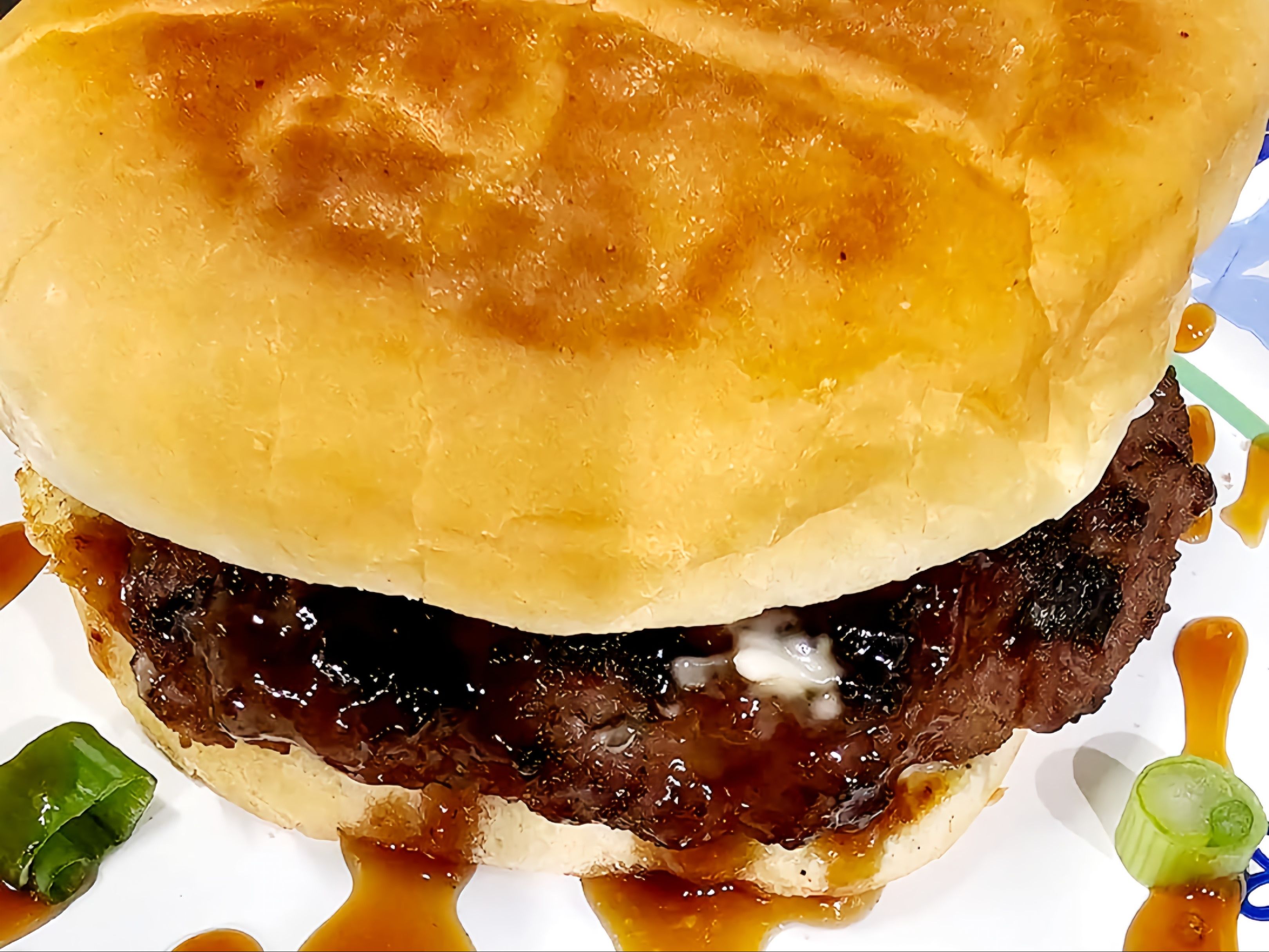 Shaka Teri Beef Sandwich Only