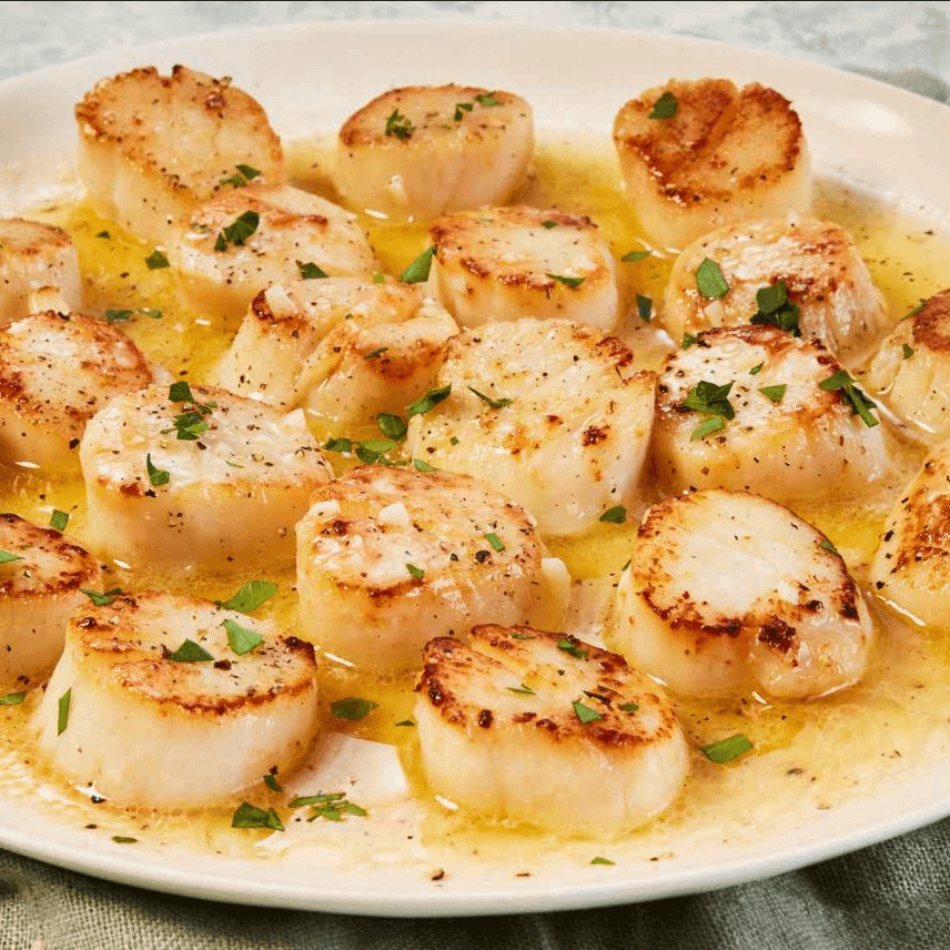 Scallops
