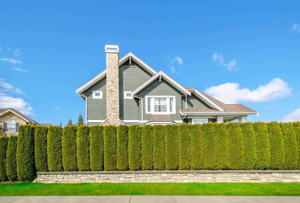Privacy Hedges