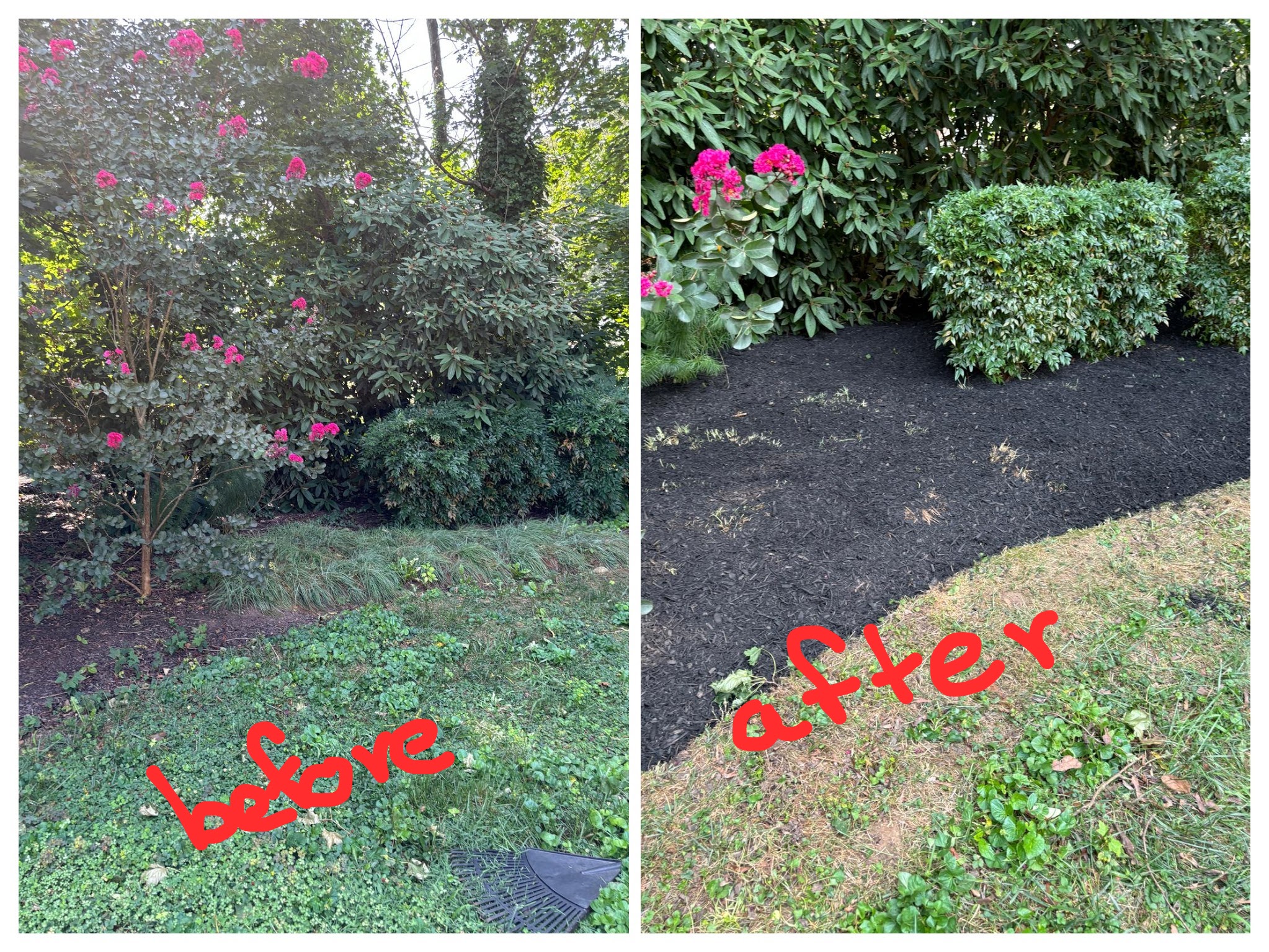 JJ Flores landscaping Image