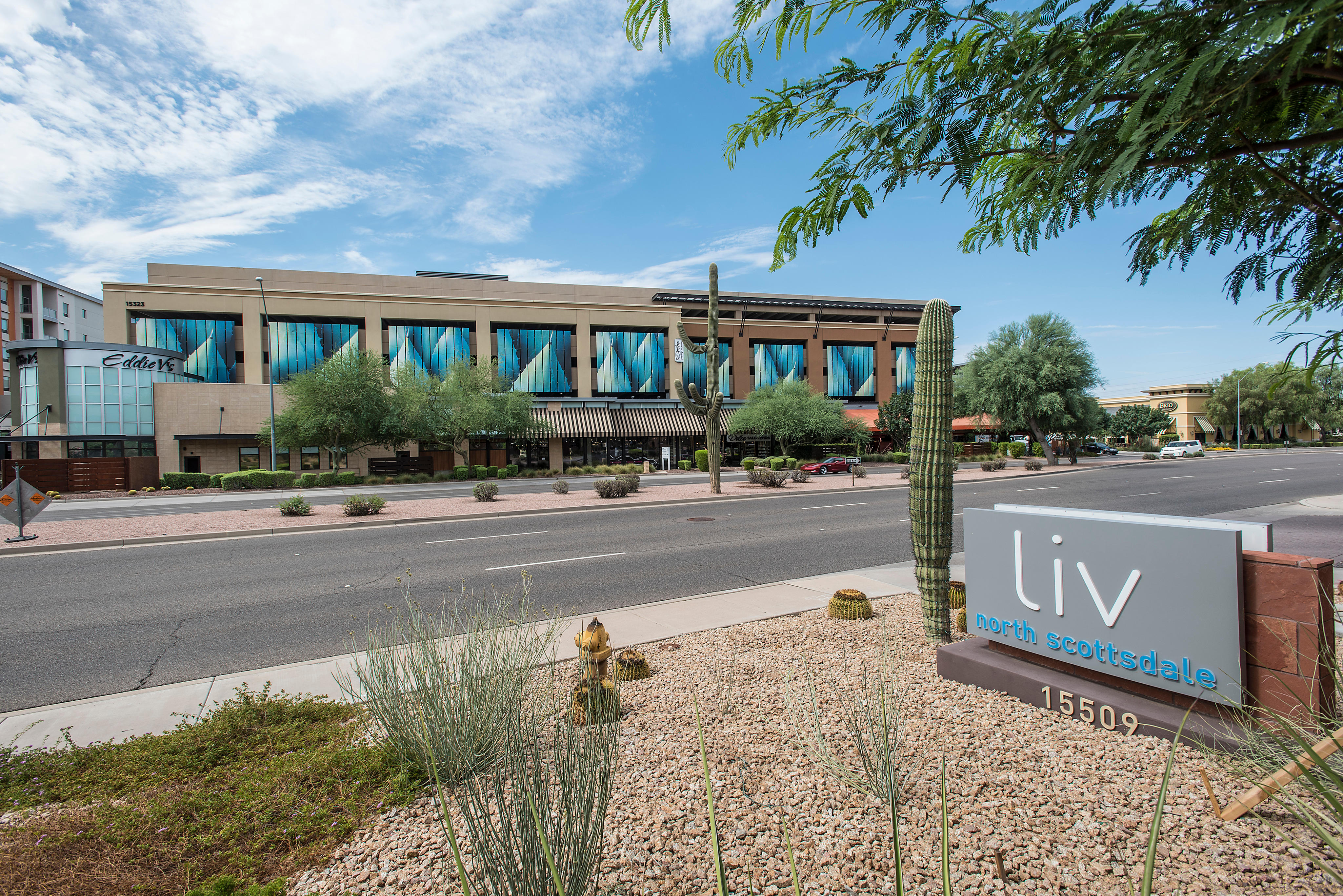 Liv North Scottsdale Photo