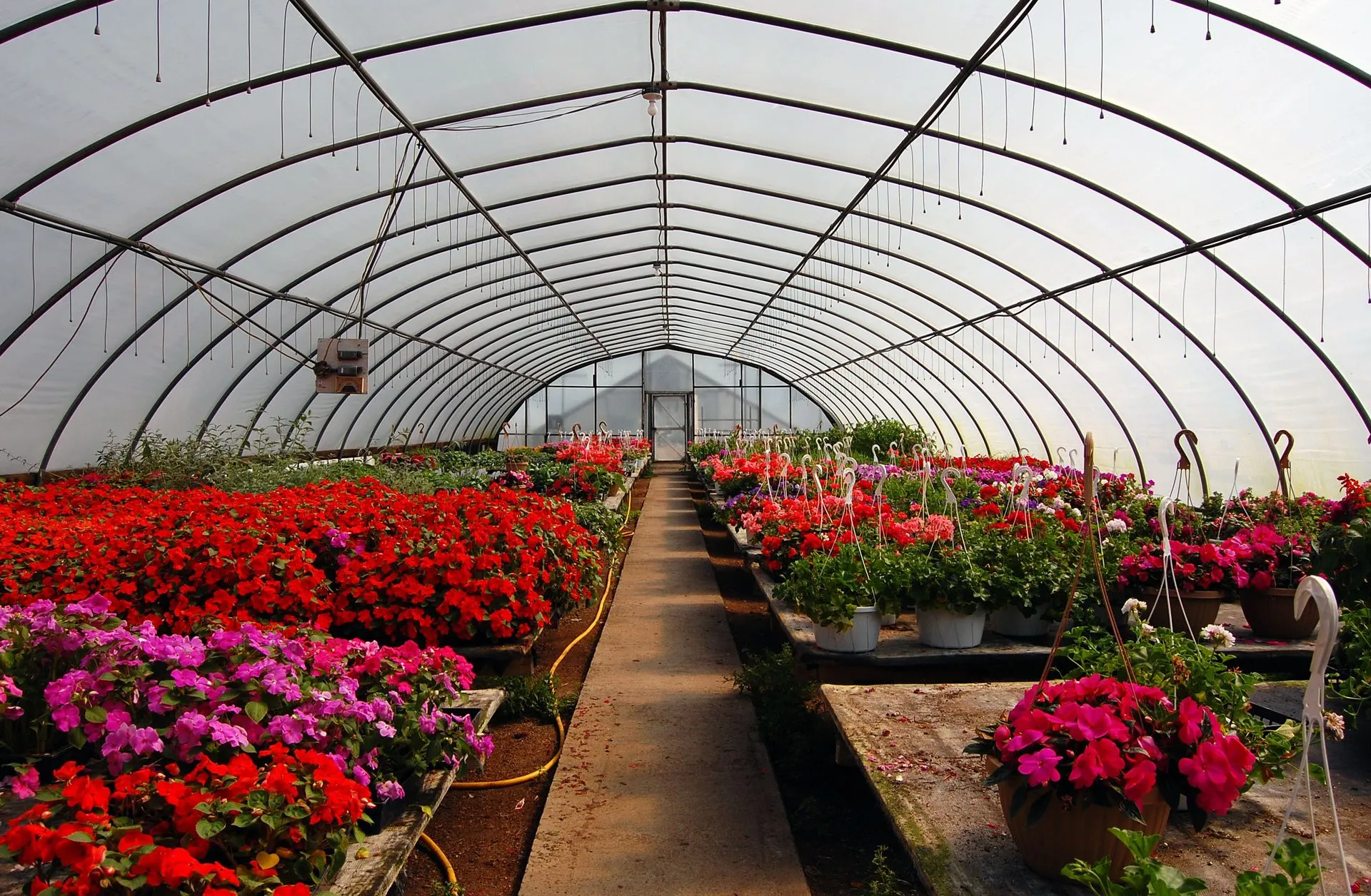 Greenhouses