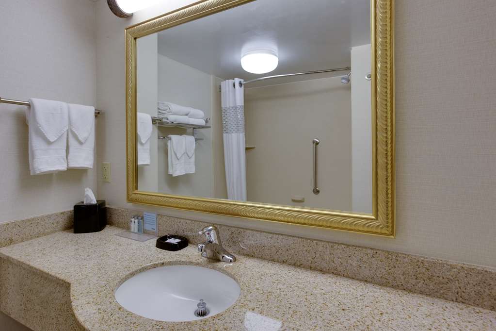 Hampton Inn Auburn Image