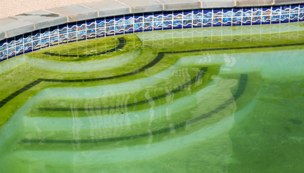 Green Pool Cleanup