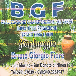 Logo di BGF
