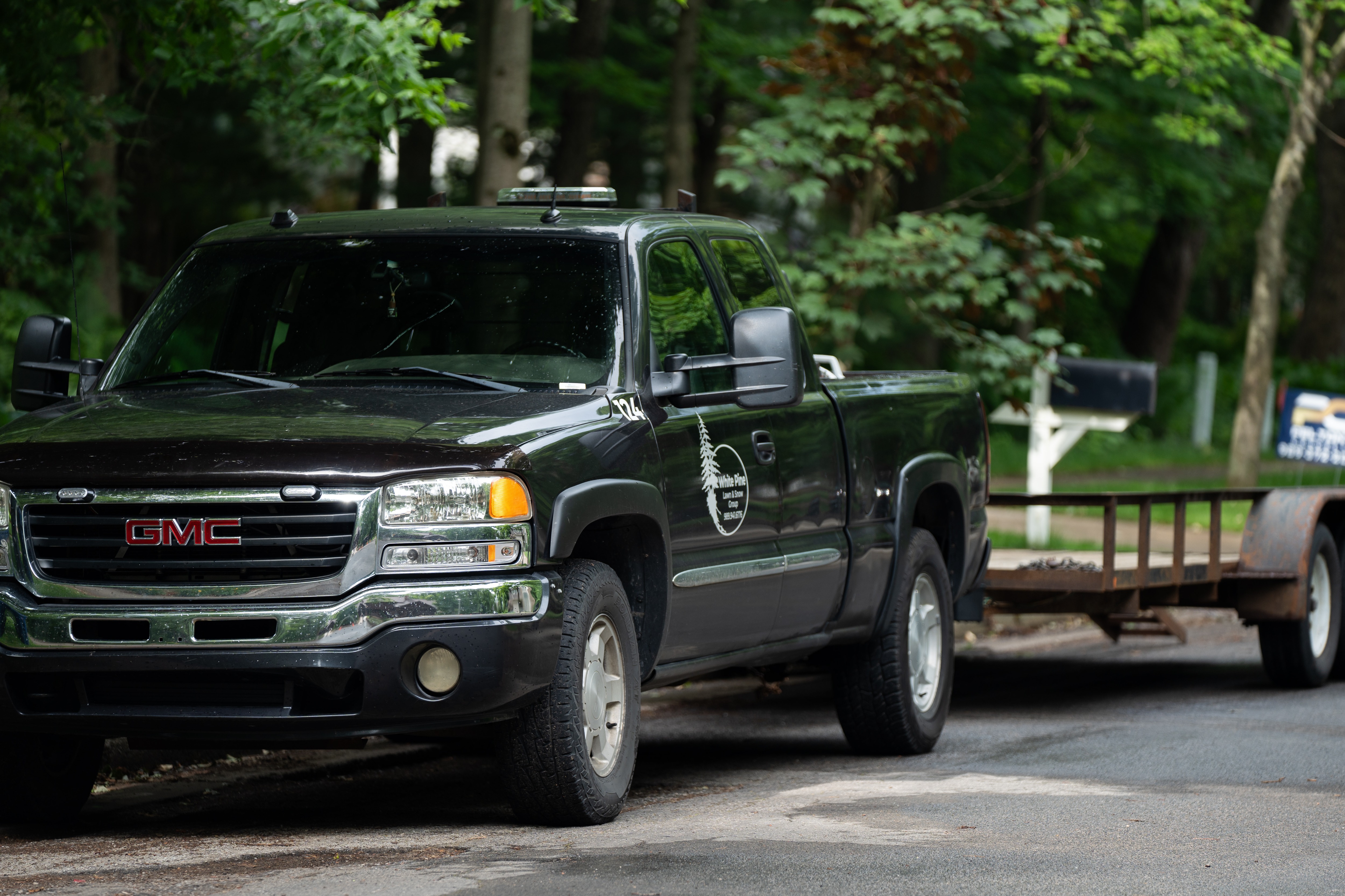 White Pine Lawn & Snow Group Image