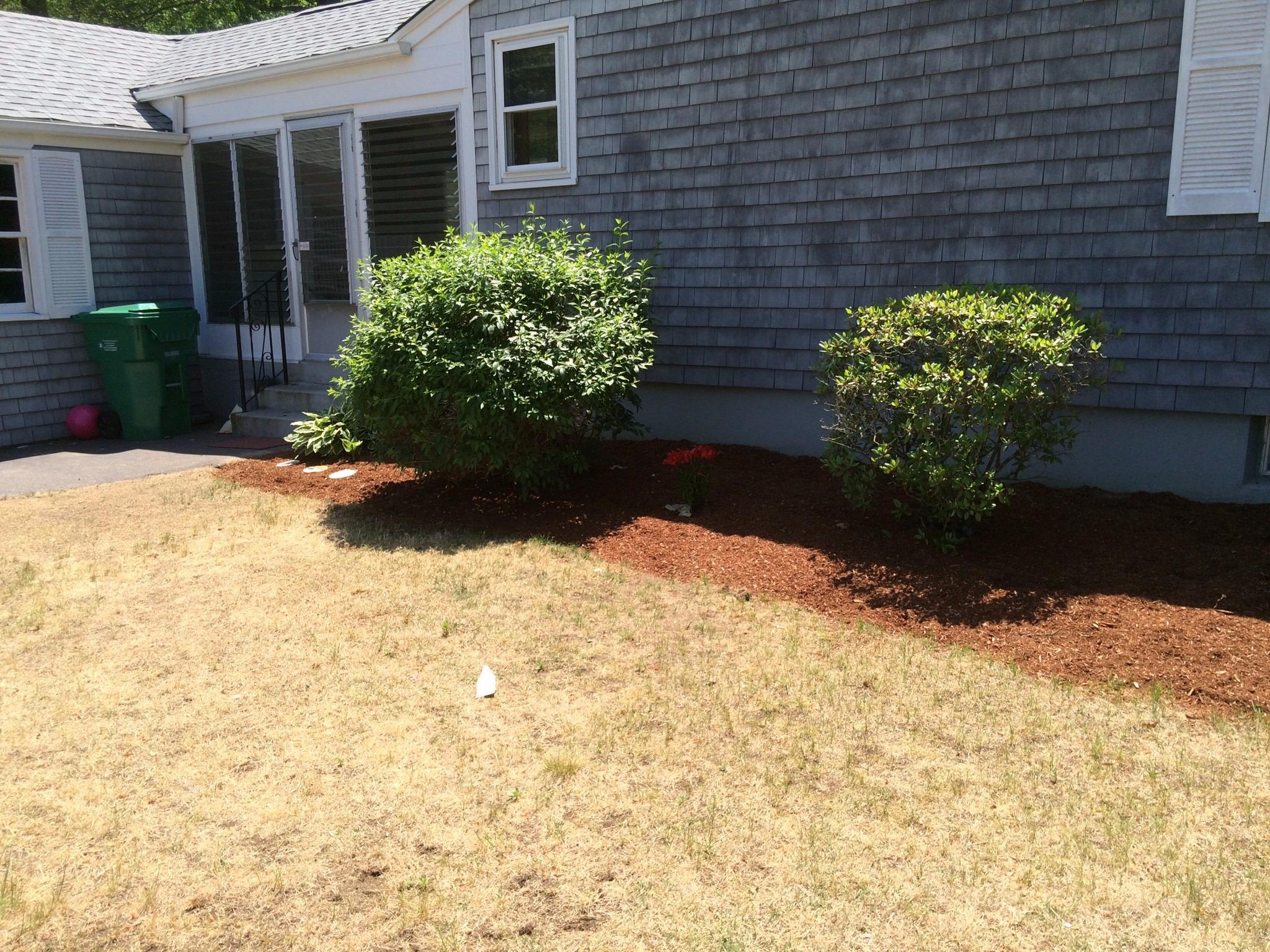 Mike's Landscaping Image
