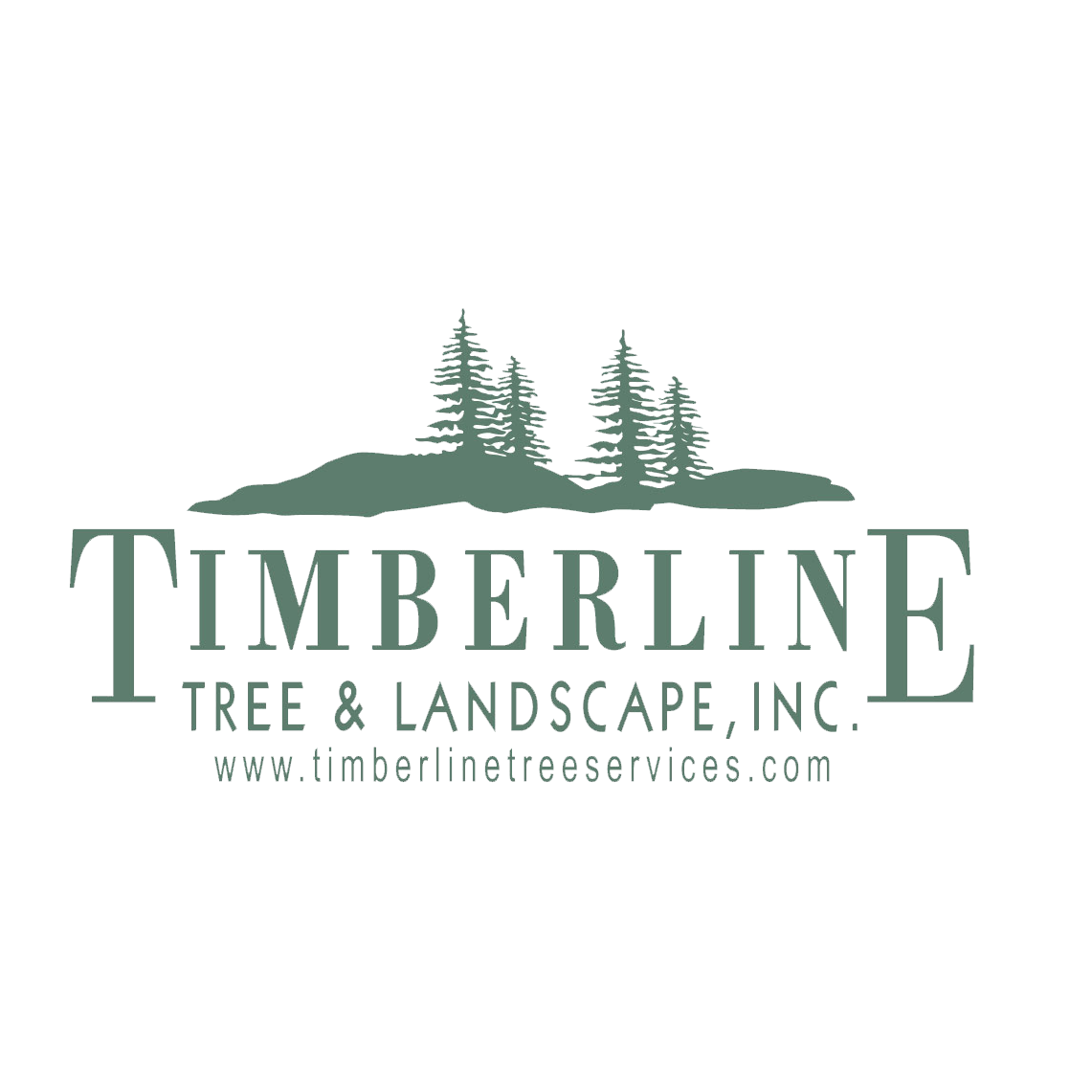 Timberline Tree & Landscape Inc. , Company Profile