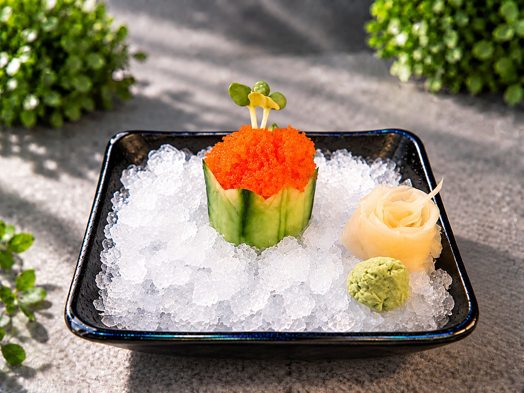 Masago Sashimi