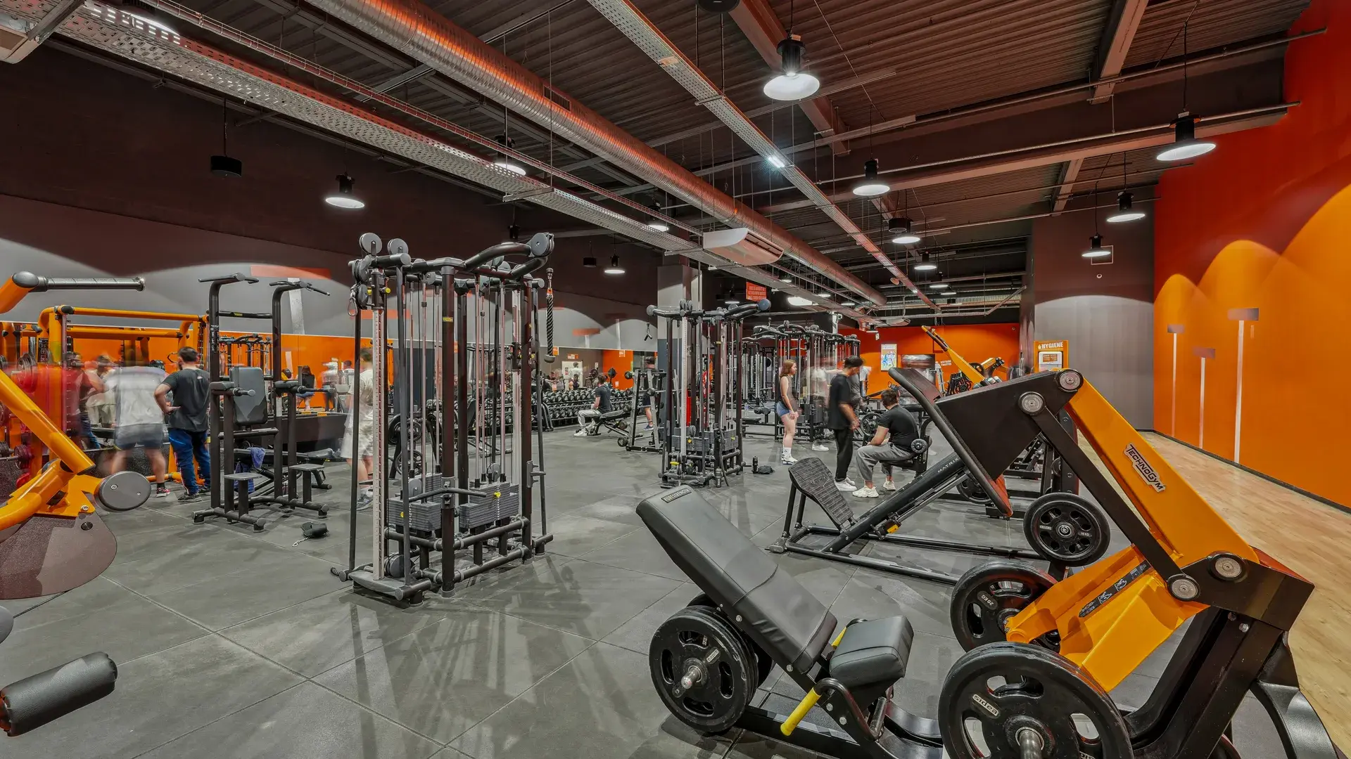 Miniature de la galerie