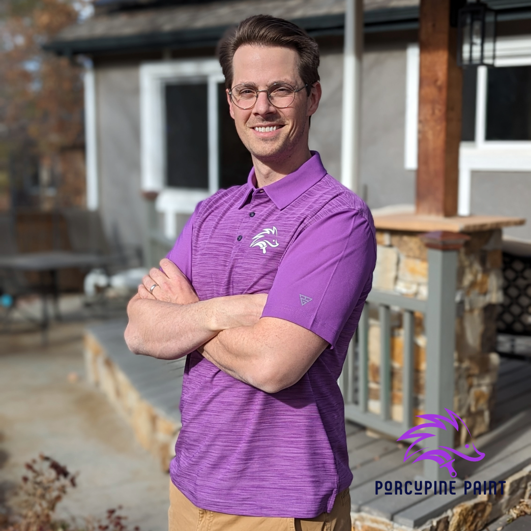 Porcupine Paint Image