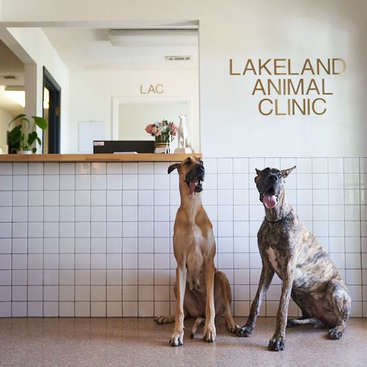Lakeland Animal Clinic Photo
