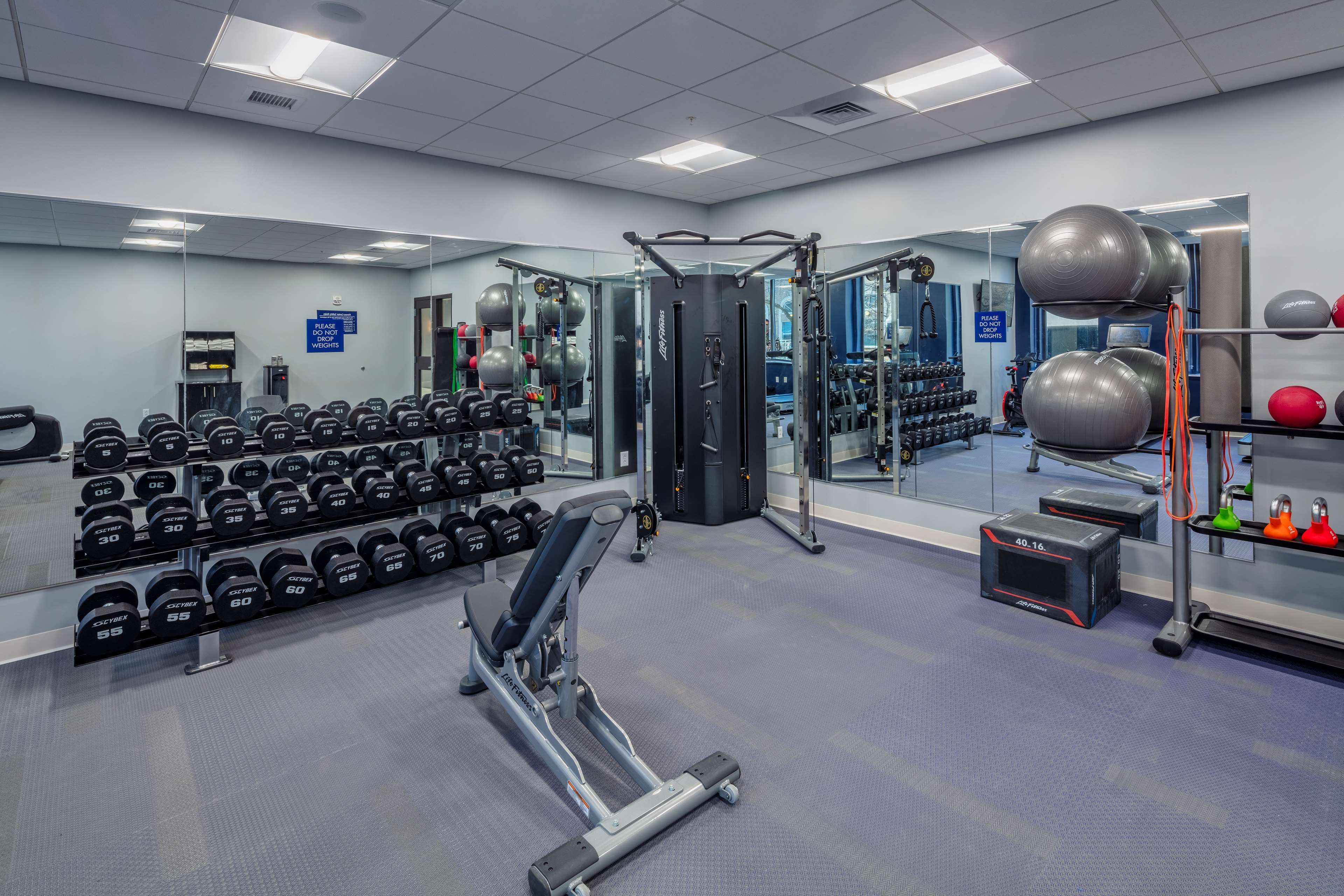 Health club  fitness center  gym