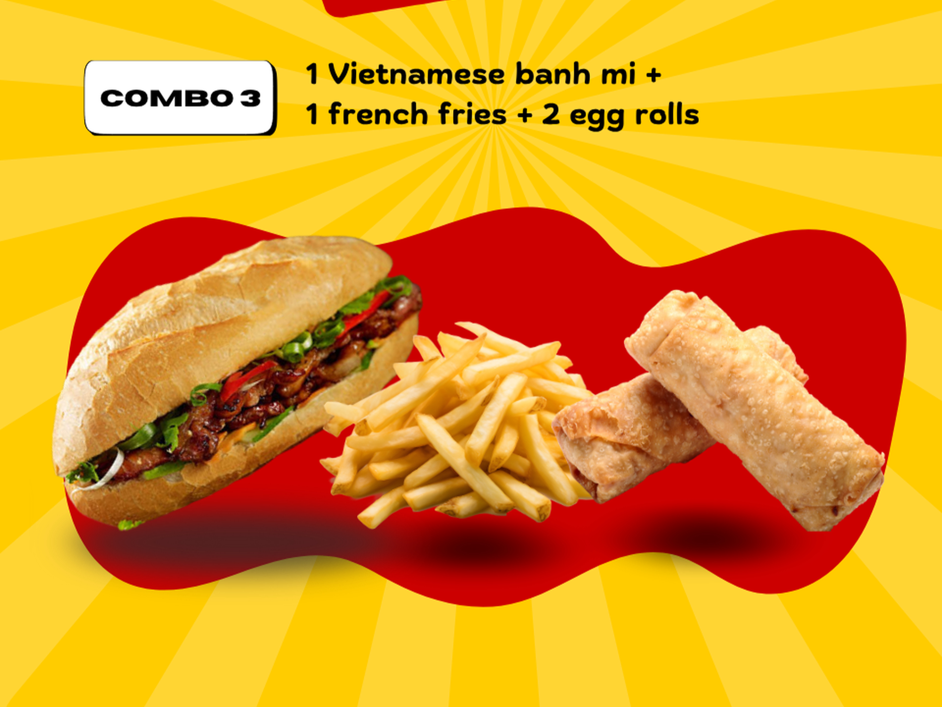 Combo #3 : Vietnamese Banh Mi + 2 Egg Rolls + Fries