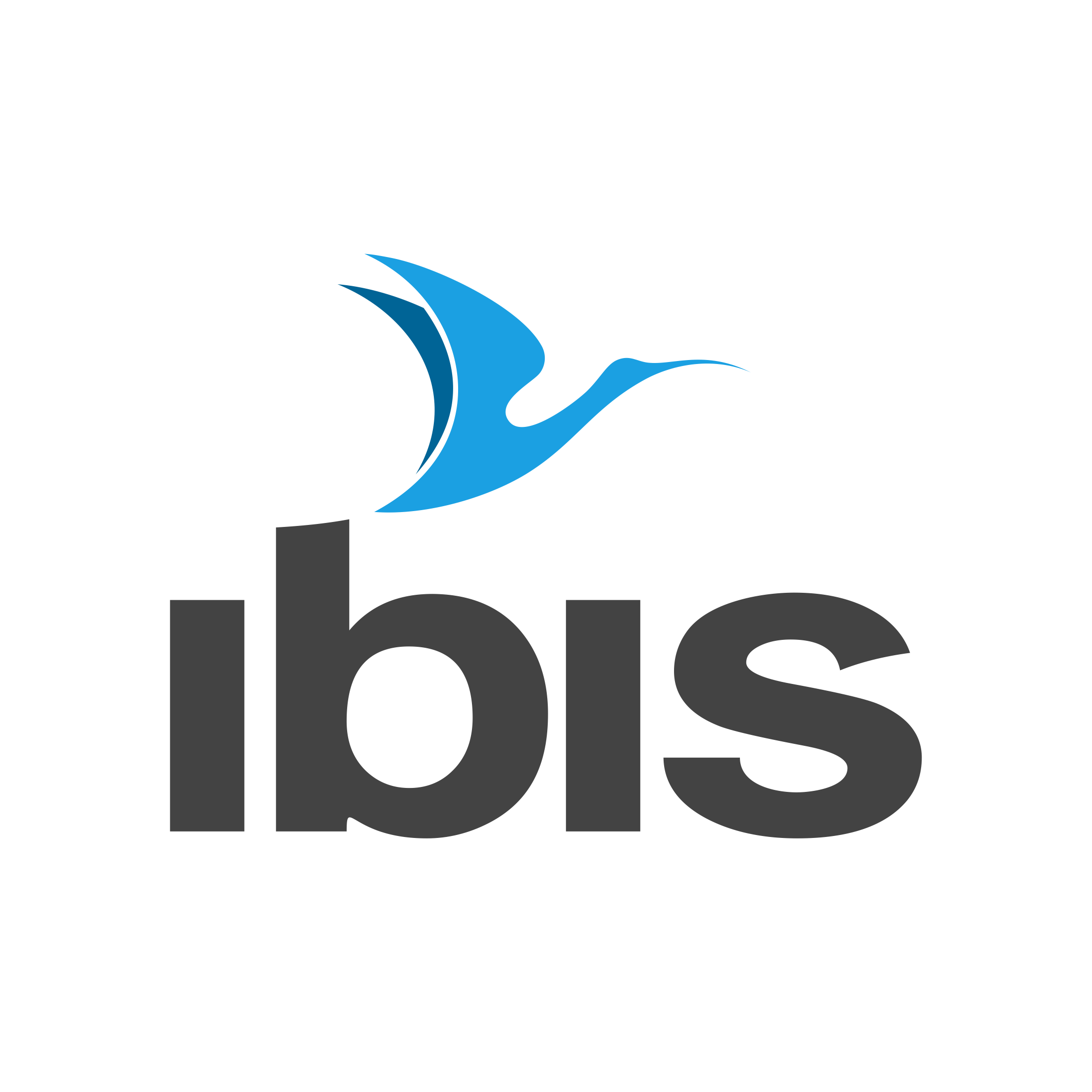IBIS Studio // Digital Marketing Agency Photo