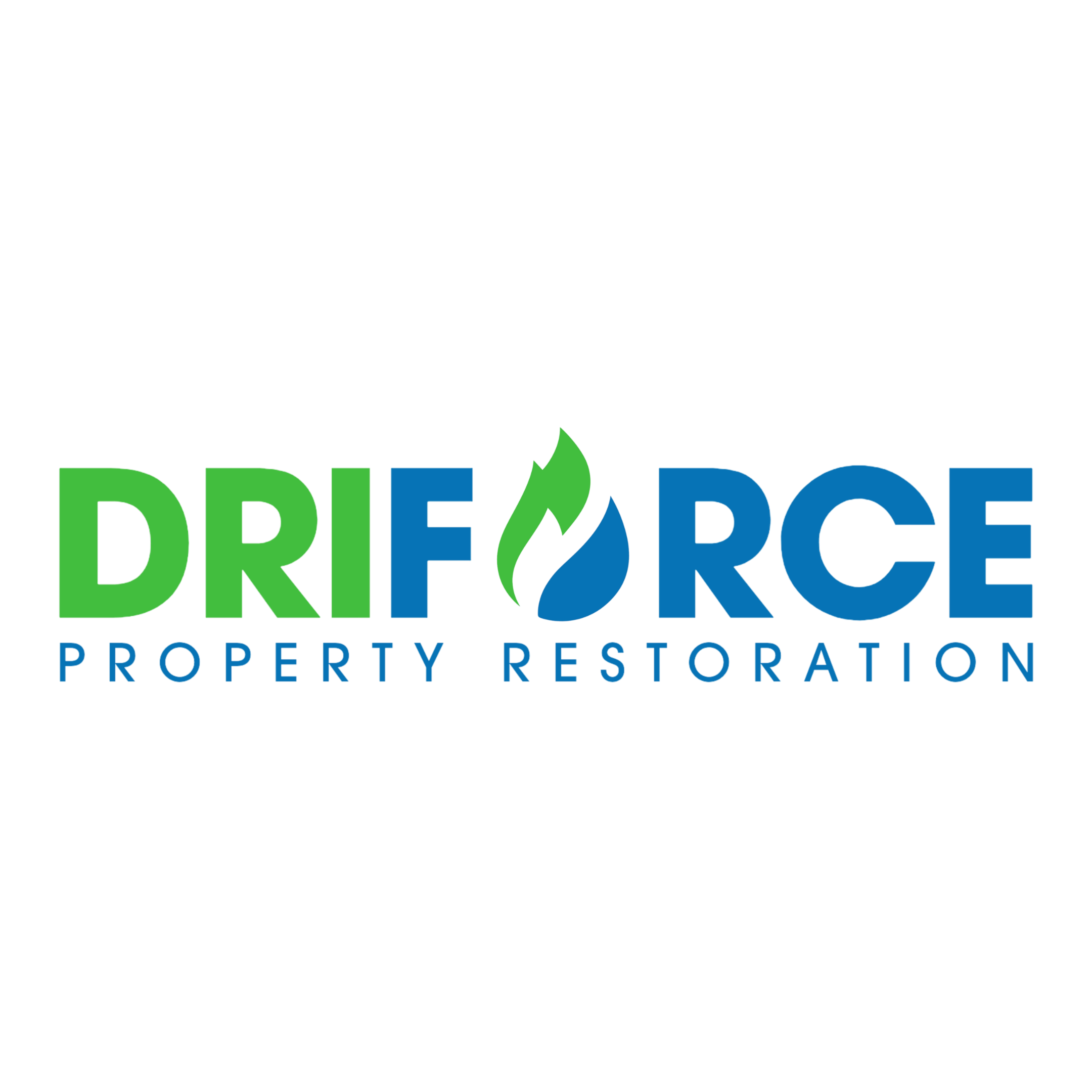 DriForce Property Restoration