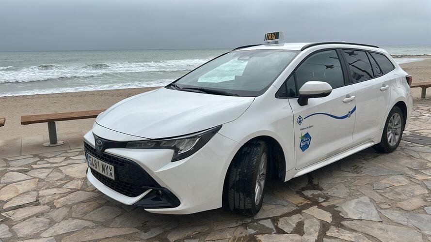 Galería en miniatura