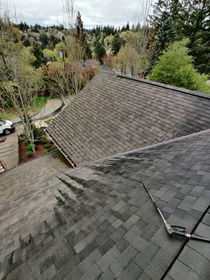 Roof Life Of Oregon Image