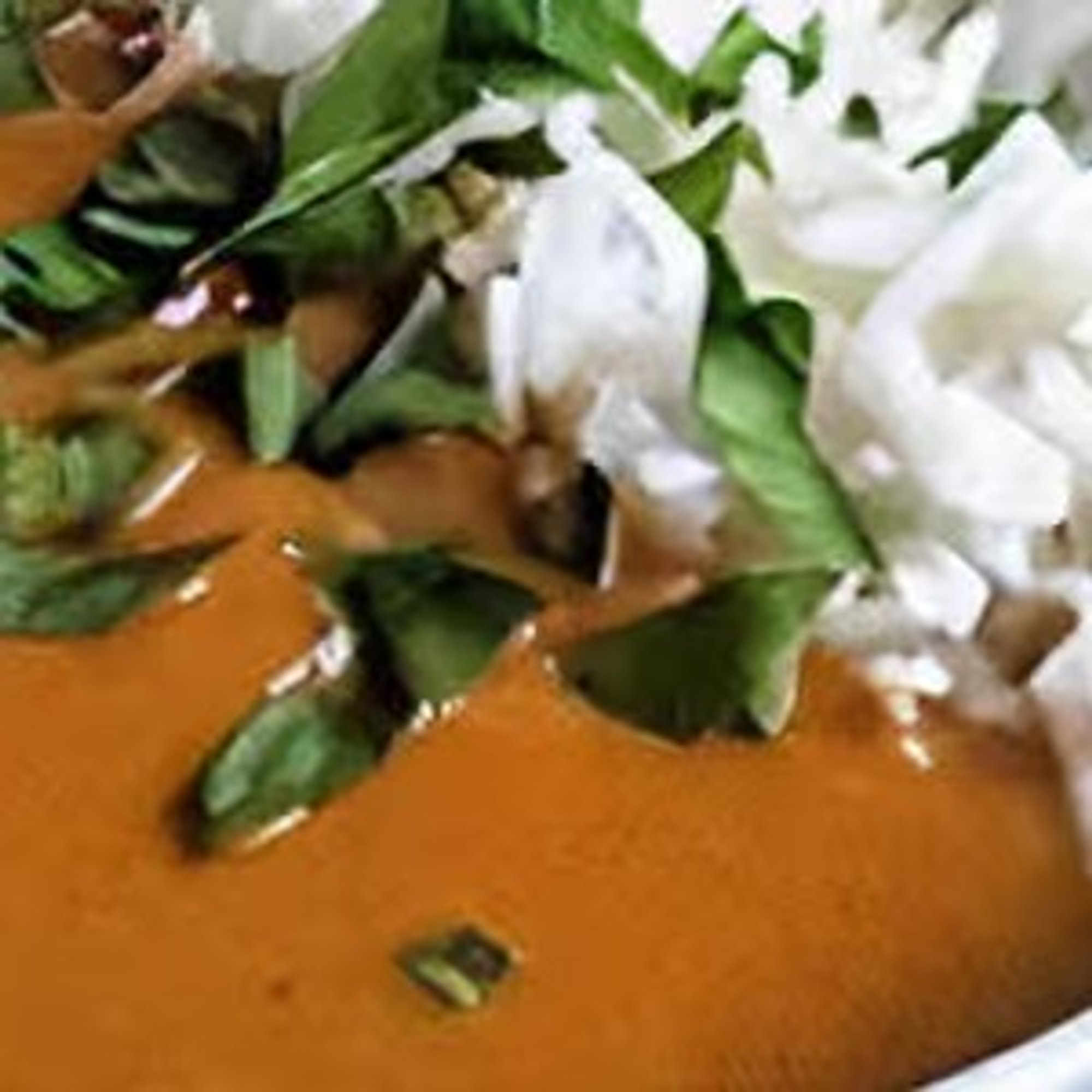 Extra Curry Sauce