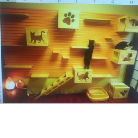 Whiskers on Kittens Boarding Image