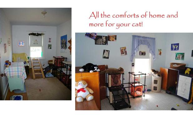 Images Saalo Farms Pampered Pet Boarding