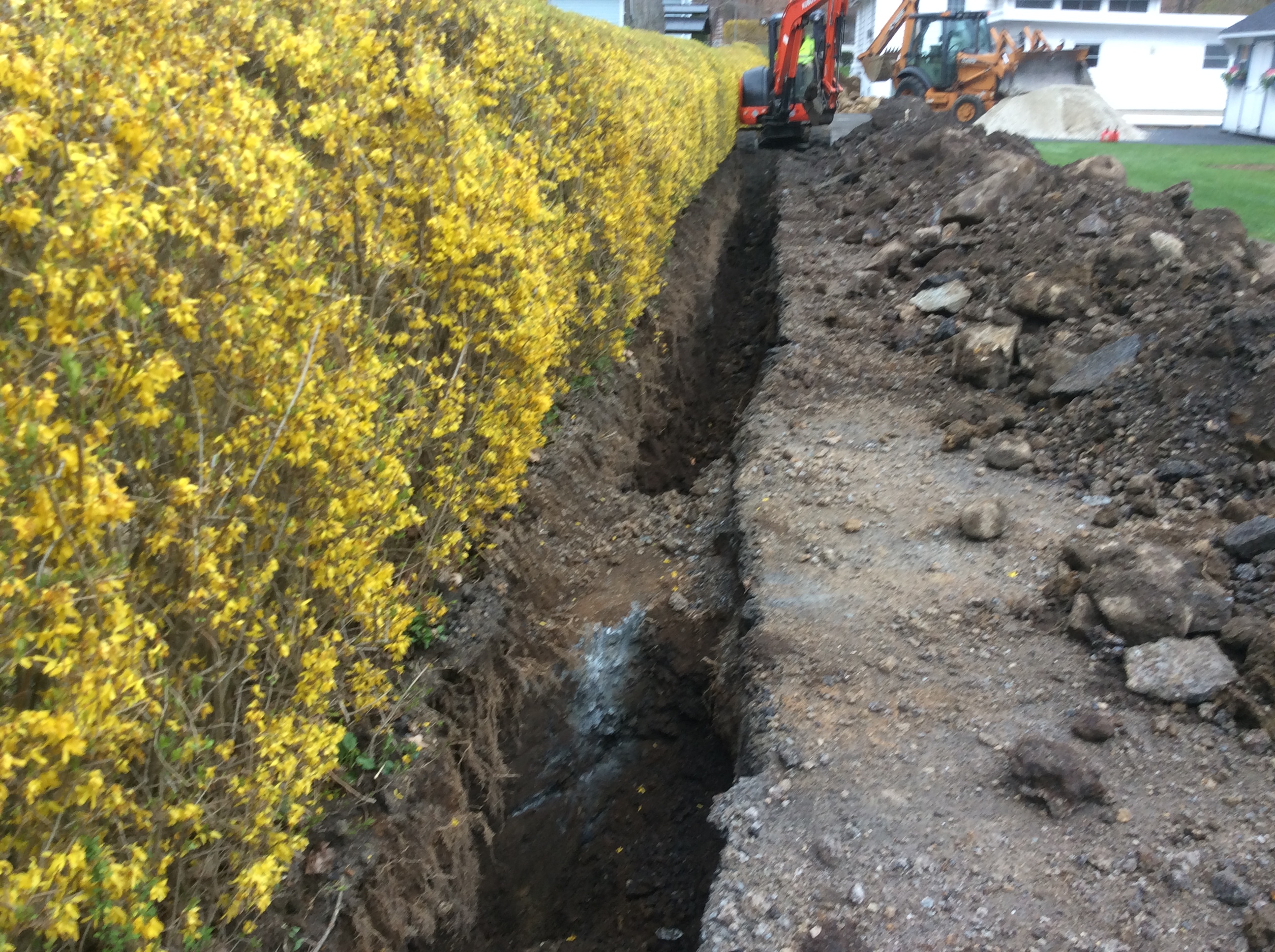 Sewer Surgeons Image