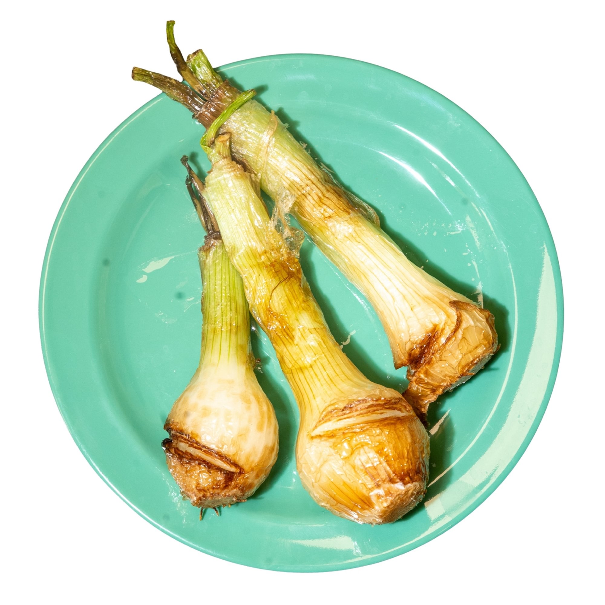 Fried Green Onions (3)