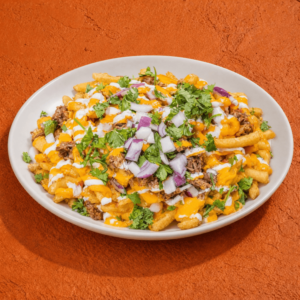 Birria-Fries