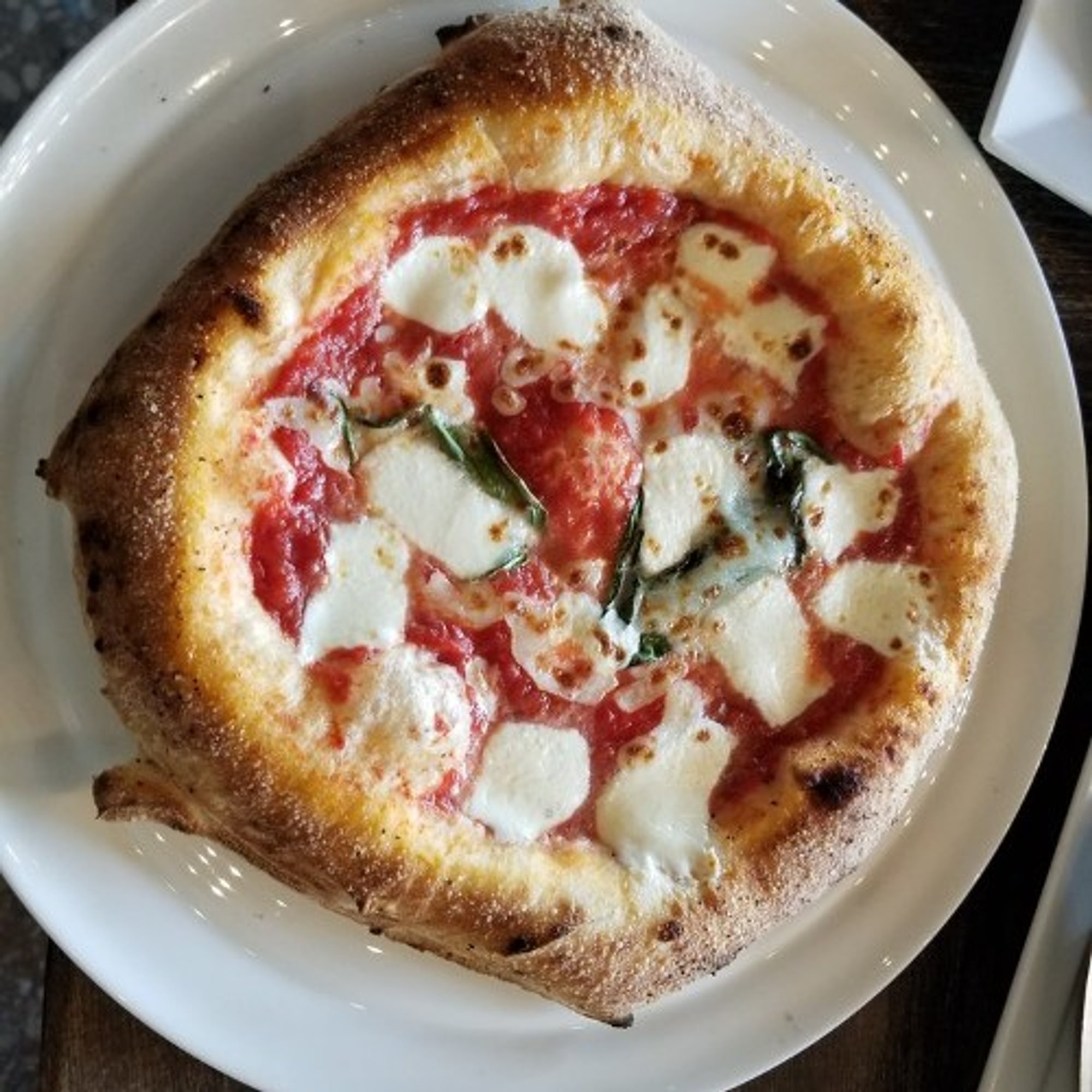 The Margherita Pizza (Medium)