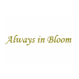 Always In Bloom Logo