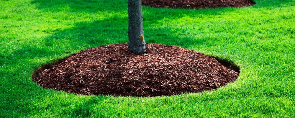 Mulching Services