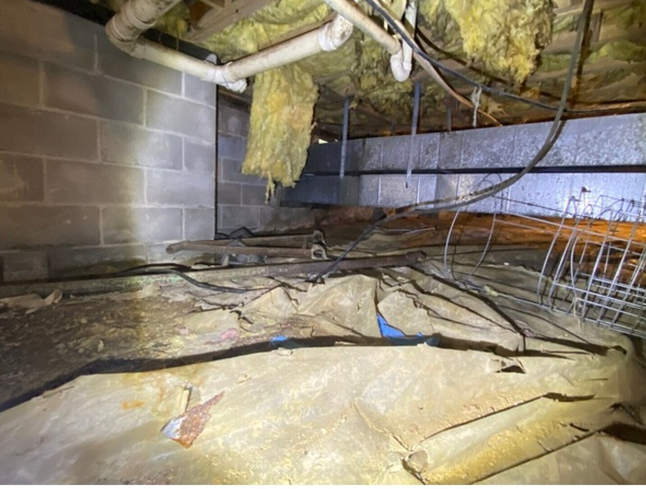 Ox Foundation Solutions Image