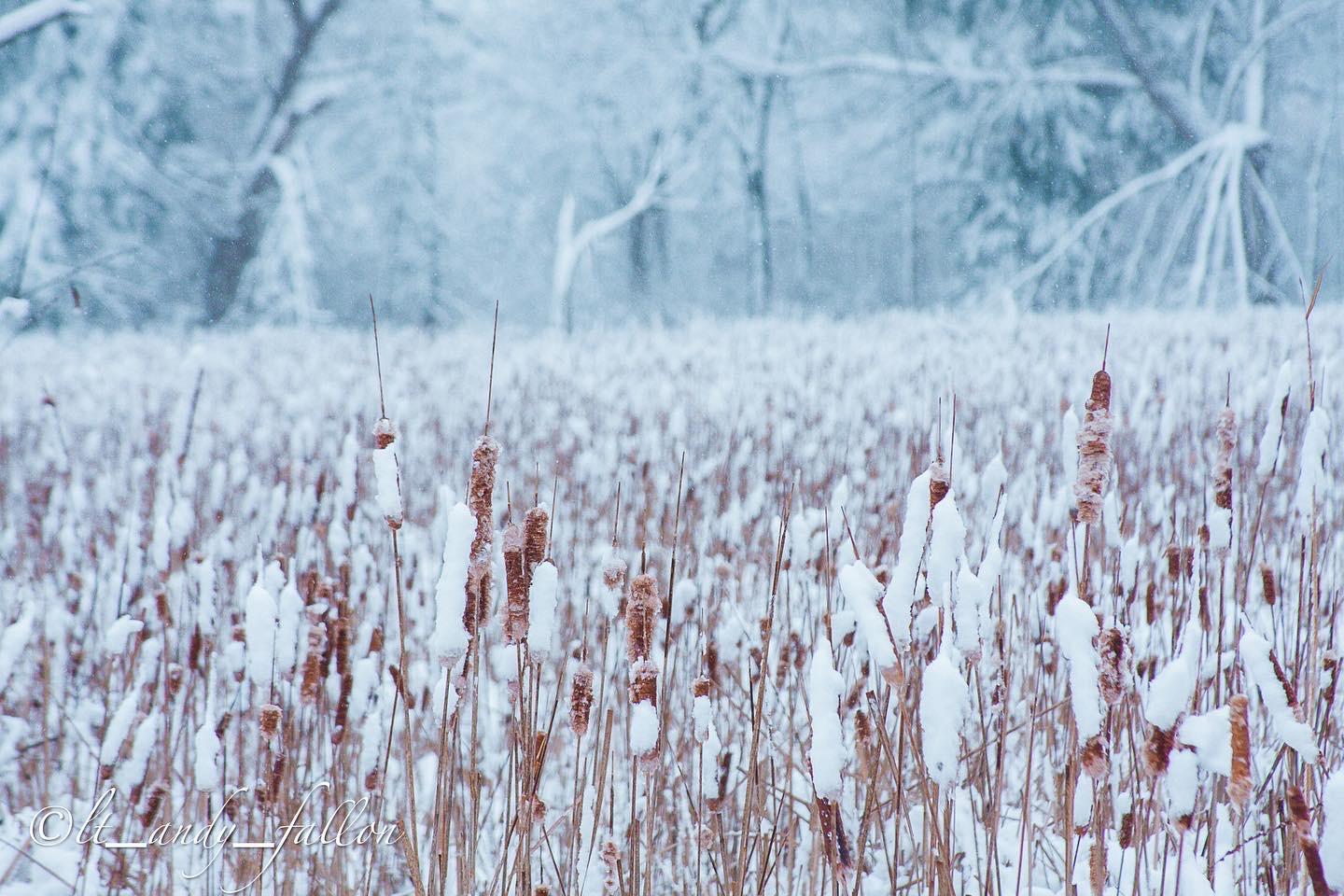 Emergency Disaster Recovery INC ?? Image