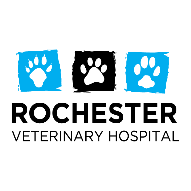 Rochester Veterinary Hospital