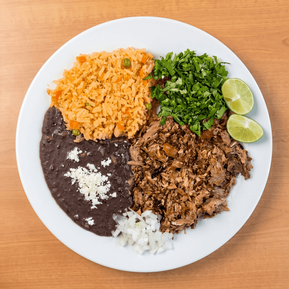Birria Plate
