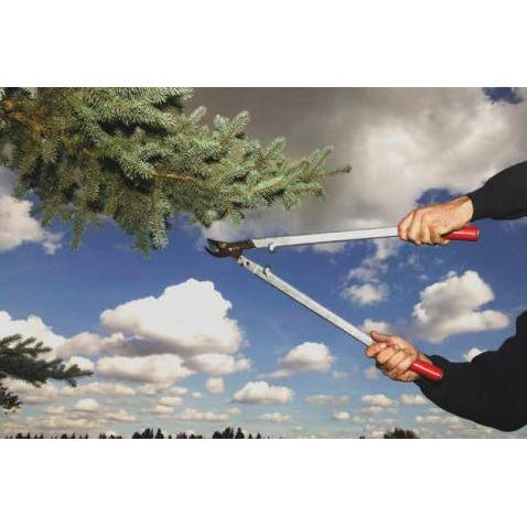 J &amp; J Professional Tree Service Logo